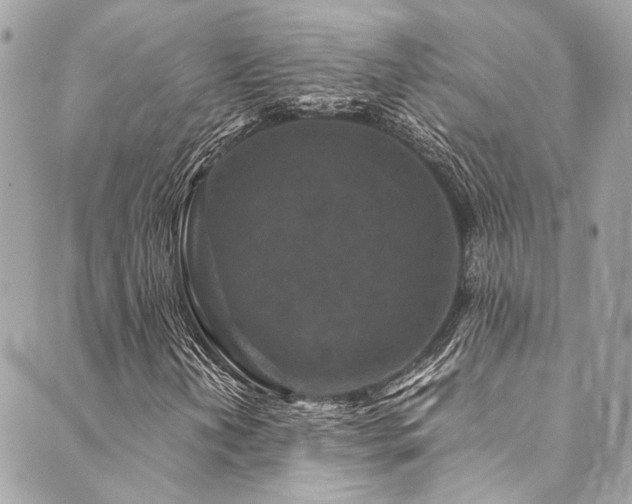 X0000089751202200706211518