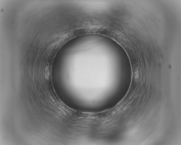 X0000089751204200706211518
