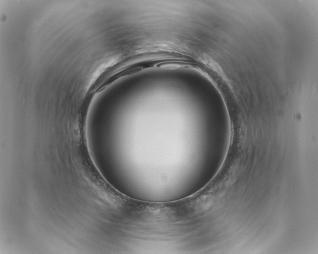 X0000089751218200706211518