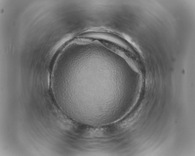 X0000089751221200706211519