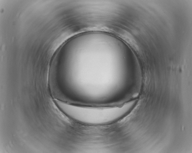 X0000089751228200706211519