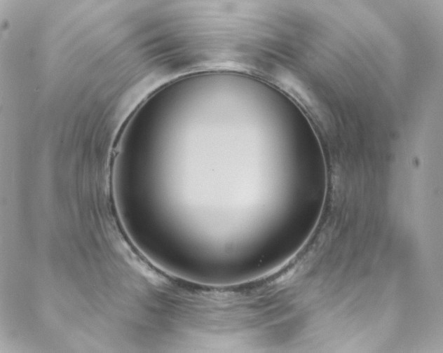 X0000089751236200706211519