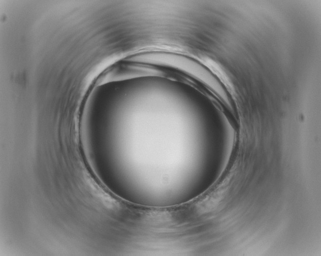 X0000089751238200706211519