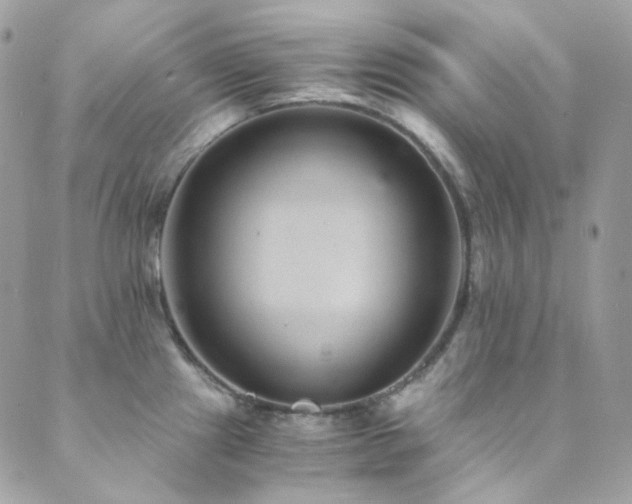 X0000089751241200706211519