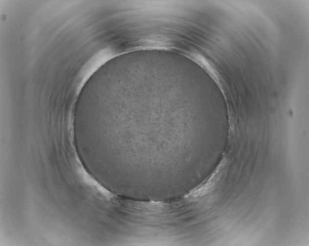 X0000089751243200706211519
