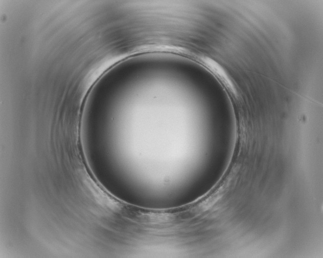 X0000089751244200706211519