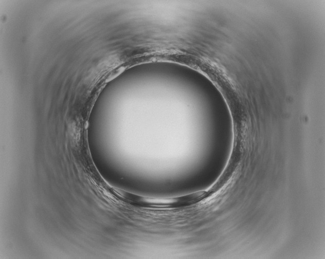 X0000089751257200706211518