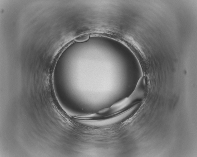 X0000089751260200706211518