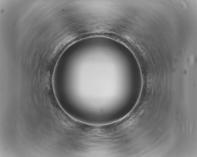 X0000089751265200706211518