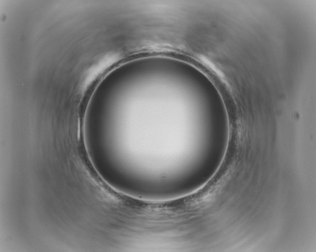 X0000089751269200706211518