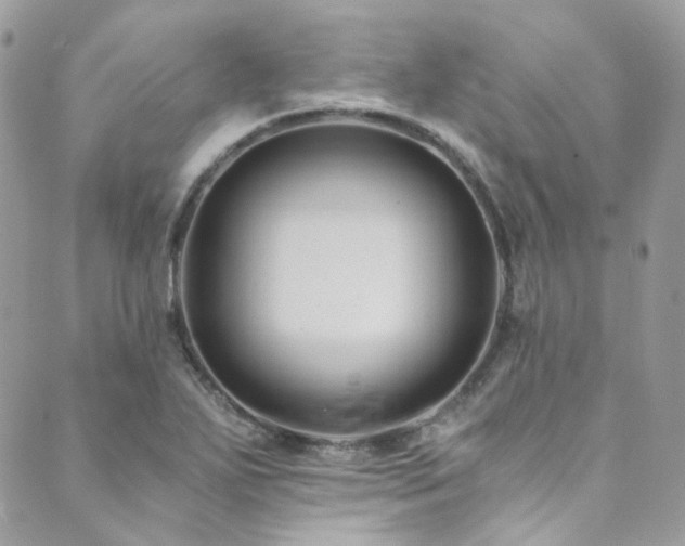 X0000089751271200706211518