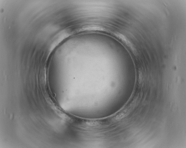 X0000089751274200706211518