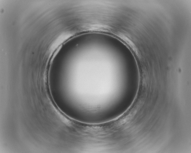 X0000089751285200706211518