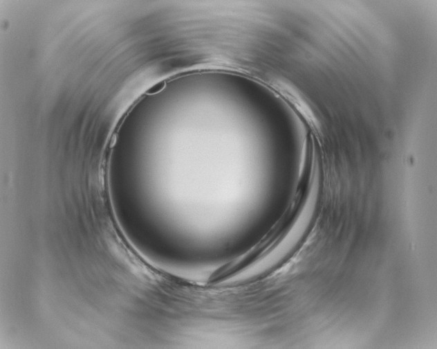 X0000089751292200706211517