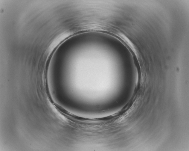 X0000089751293200706211517