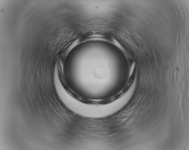 X0000089751298200706211517
