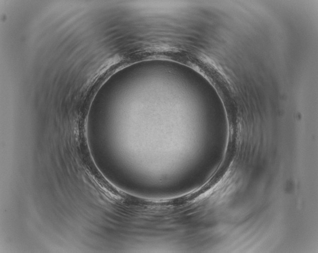 X0000089751305200706211517