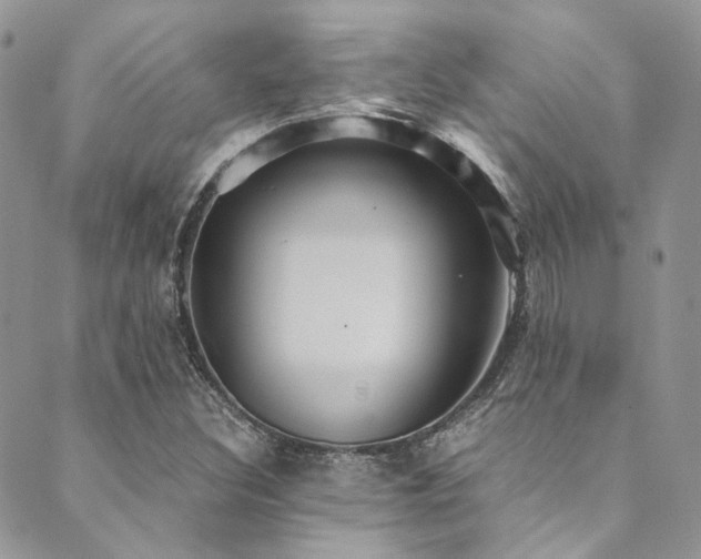 X0000089751308200706211517