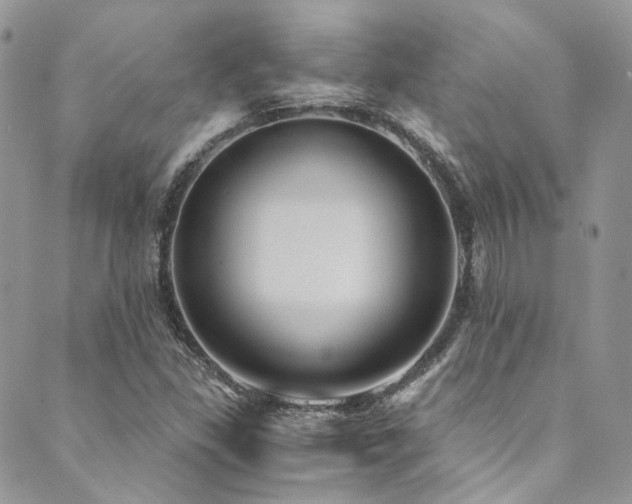 X0000089751309200706211517