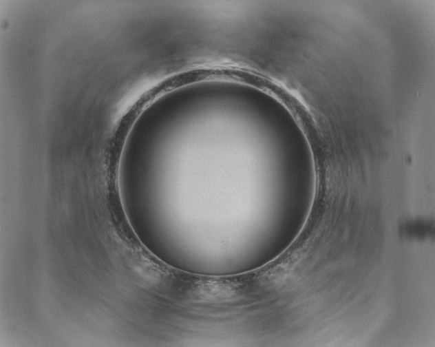 X0000089751311200706211517
