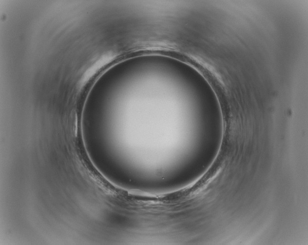 X0000089751317200706211517
