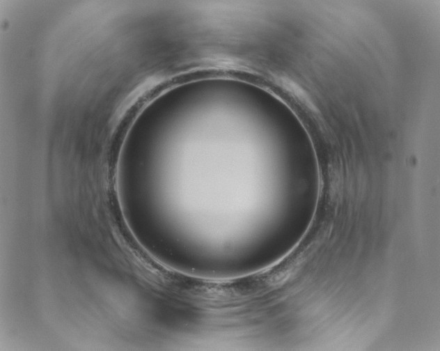 X0000089751318200706211517