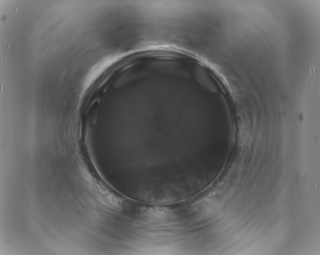 X0000089751319200706211517