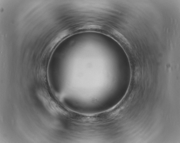 X0000089751321200706211517