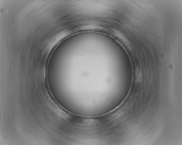 X0000089751322200706211517
