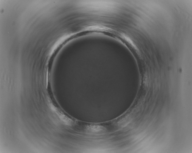 X0000089751323200706211517