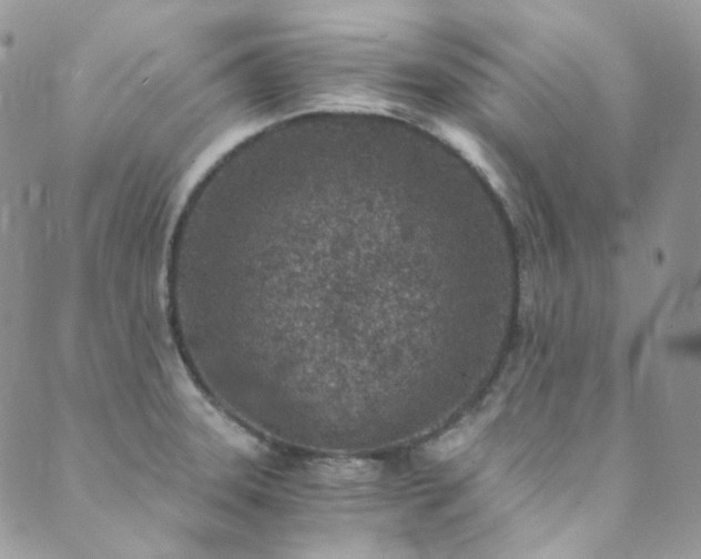 X0000089751331200706211517