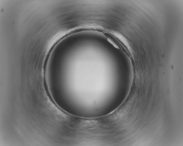 X0000089751335200706211517