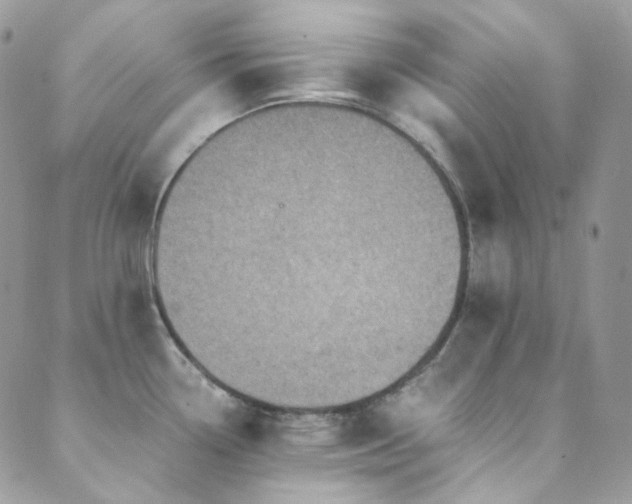 X0000089751338200706211517