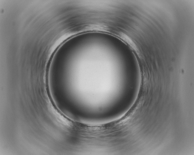 X0000089751339200706211517