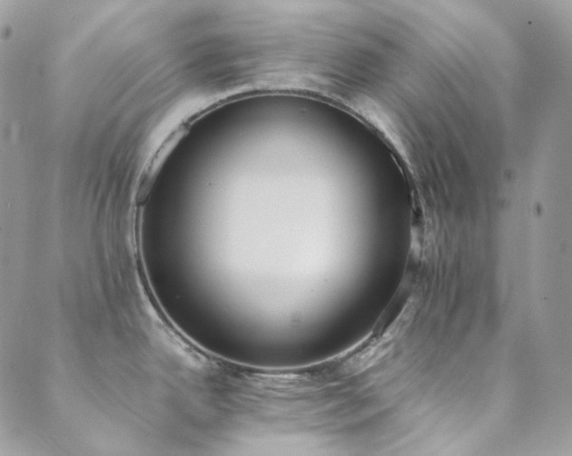 X0000089751342200706211517