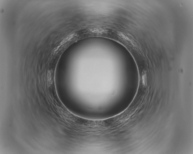 X0000089751347200706211517