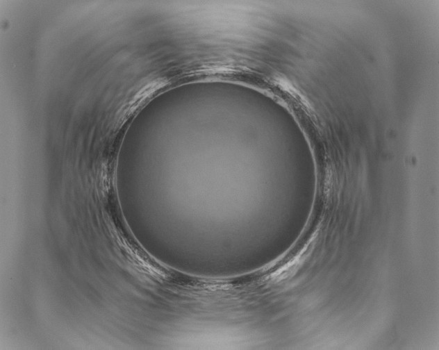 X0000089751353200706211516