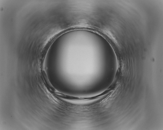 X0000089751356200706211516