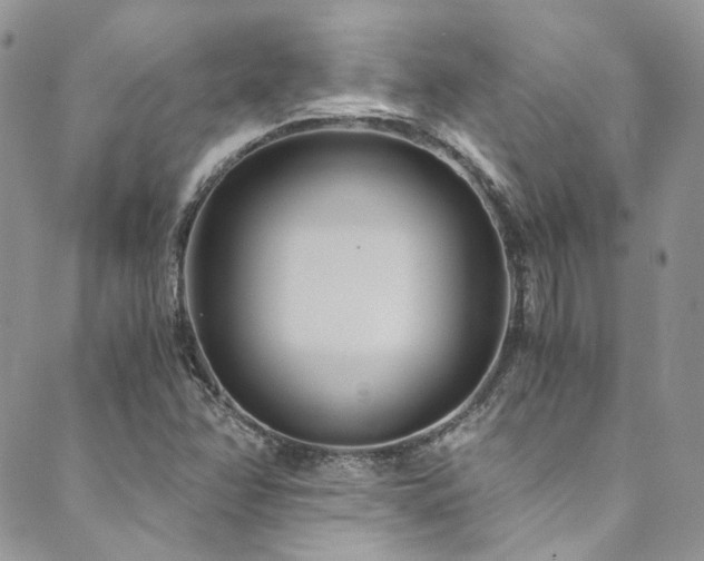 X0000089751358200706211516