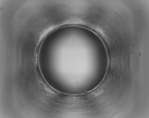 X0000089751366200706211516