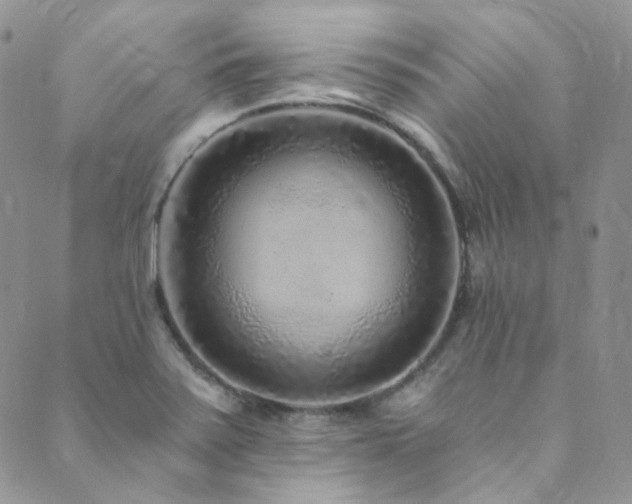 X0000089751371200706211516
