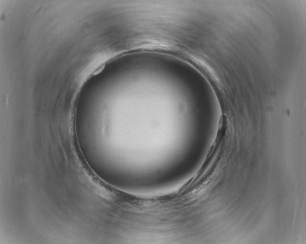 X0000089751375200706211516
