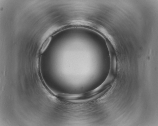 X0000089751376200706211516
