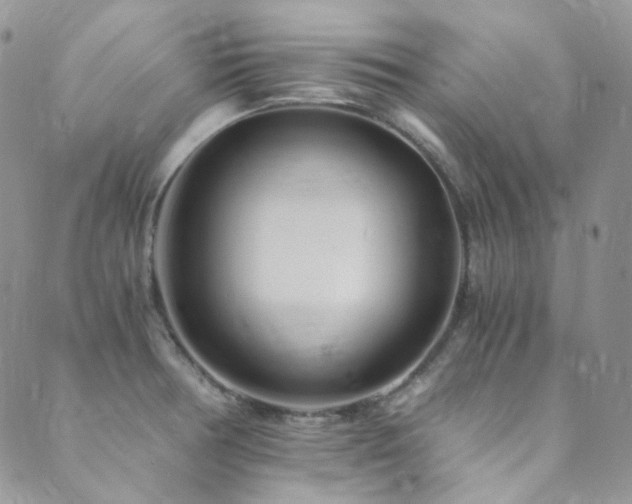 X0000089751378200706211516