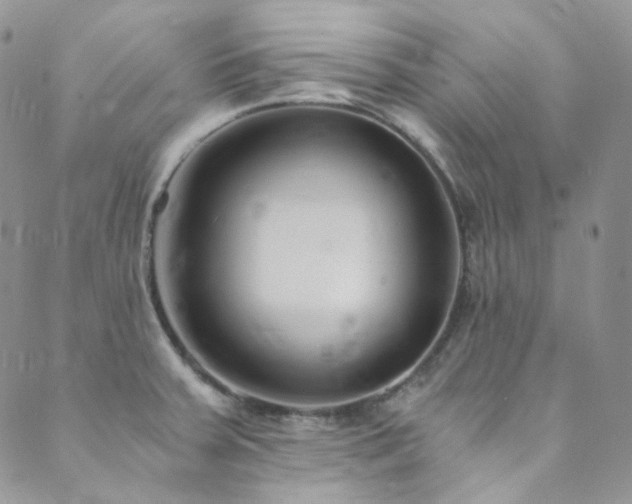 X0000089751379200706211516
