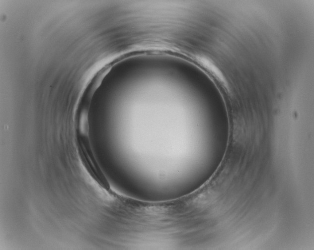 X0000089751380200706211516