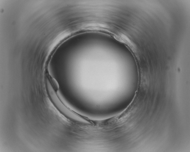X0000089751384200706211516