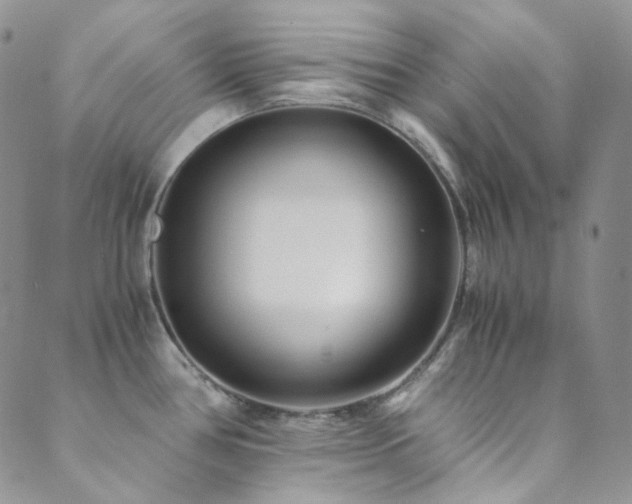 X0000089751386200706211516