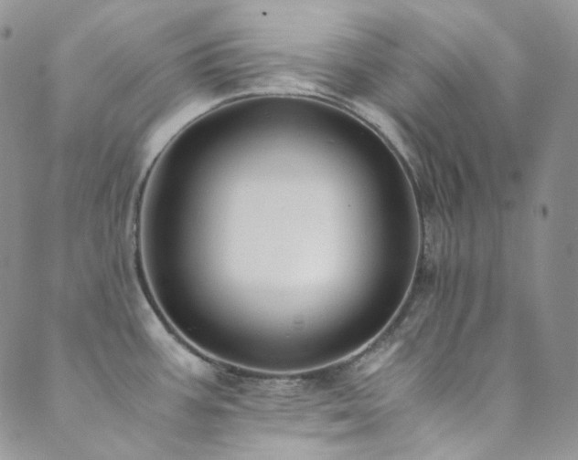 X0000089751387200706211516