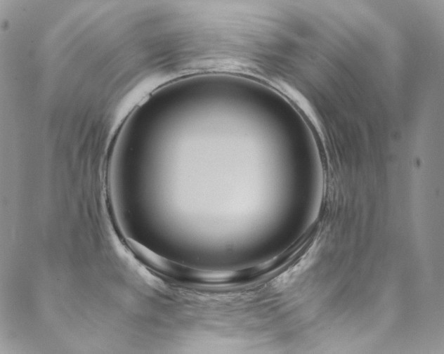 X0000089751389200706211516